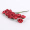 Paper Flowers (12x12) Red ( 12 Paper Flowers ) FuzzyFabric - Wholesale Ribbons, Tulle Fabric, Wreath Deco Mesh Supplies