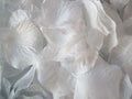 White - Silk Flower Petal ( 400 Petals ) FuzzyFabric - Wholesale Ribbons, Tulle Fabric, Wreath Deco Mesh Supplies