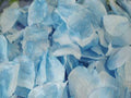 Light Blue - Silk Flower Petal ( 400 Petals ) FuzzyFabric - Wholesale Ribbons, Tulle Fabric, Wreath Deco Mesh Supplies