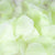 Mint - Silk Flower Petal ( 400 Petals ) FuzzyFabric - Wholesale Ribbons, Tulle Fabric, Wreath Deco Mesh Supplies