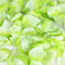 Apple Green - Silk Flower Petal ( 400 Petals ) FuzzyFabric - Wholesale Ribbons, Tulle Fabric, Wreath Deco Mesh Supplies