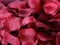 Red - Silk Flower Petal ( 400 Petals ) FuzzyFabric - Wholesale Ribbons, Tulle Fabric, Wreath Deco Mesh Supplies