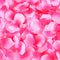 Fuchsia - Silk Flower Petal ( 400 Petals ) FuzzyFabric - Wholesale Ribbons, Tulle Fabric, Wreath Deco Mesh Supplies
