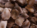 Brown - Silk Flower Petal ( 400 Petals ) FuzzyFabric - Wholesale Ribbons, Tulle Fabric, Wreath Deco Mesh Supplies
